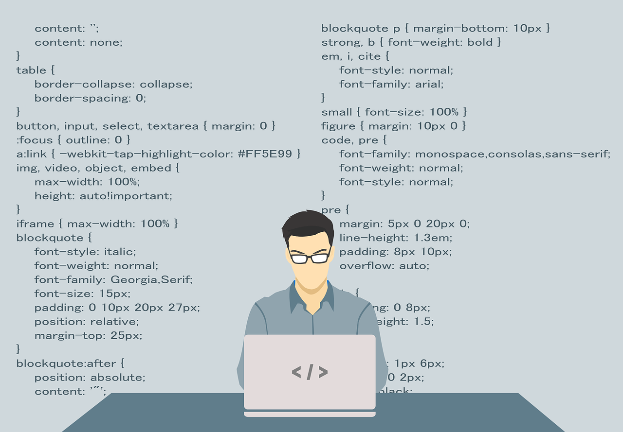 programmeur